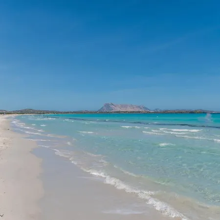 Oasi Blu - Trilo 6 By Interhome * San Teodoro (Sardinia)