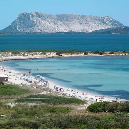 Oasi Blu - Trilo 6 By Interhome Apartment San Teodoro (Sardinia)